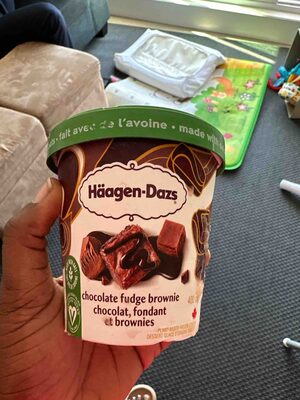 Dairy Free Chocolate Fudge Brownie Ice Cream front packaging