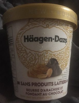 Sans produits laitiers Beurre d'arachide et fondant au chocolat