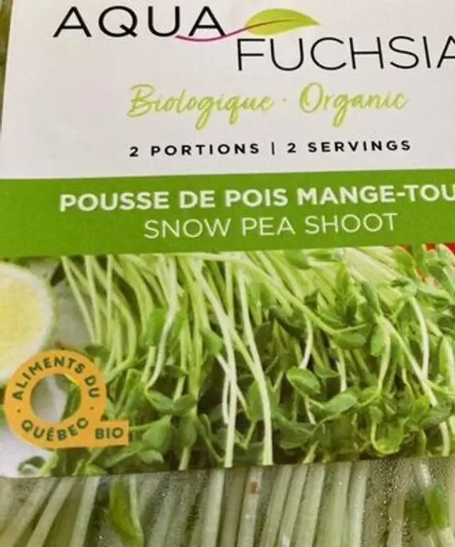 Poussé de pois mange toit