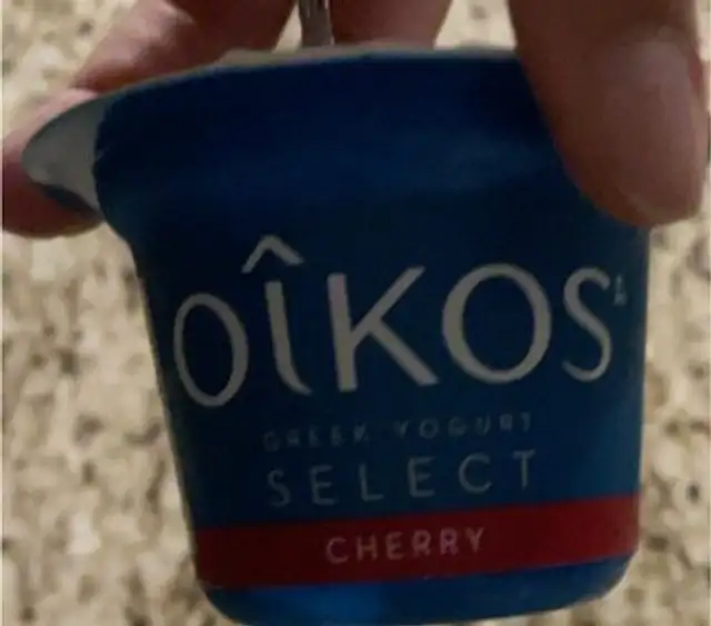 Yogourt