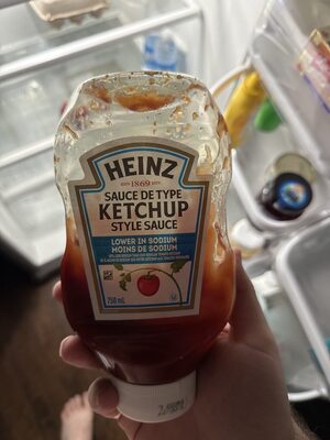 Lower in Sodium Ketchup Style Sauce