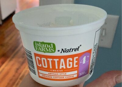 Creamed Cottage Cheese