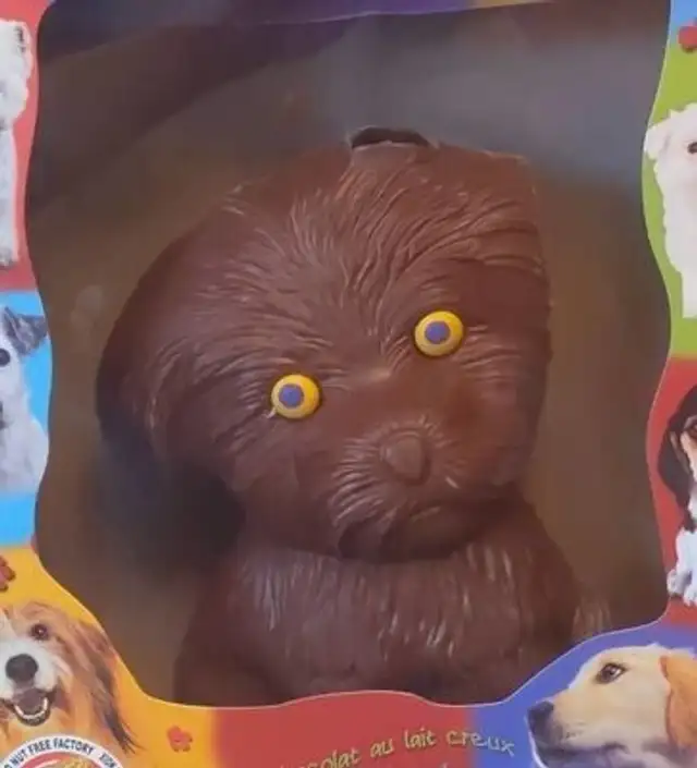 Chocolat