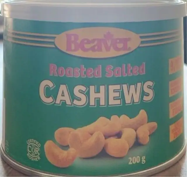 beaver