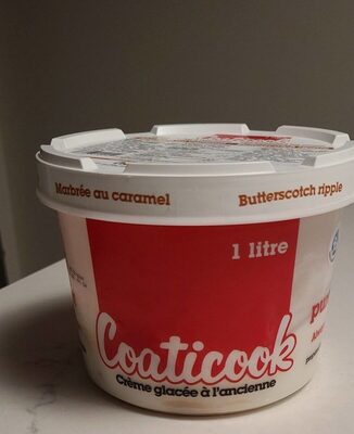 Old-fashioned Ice Cream Butterscotch Ripple