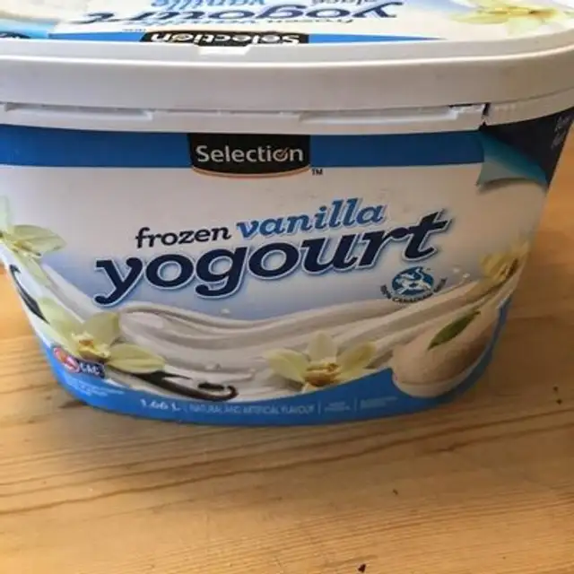 Vanilla yogourt icecream