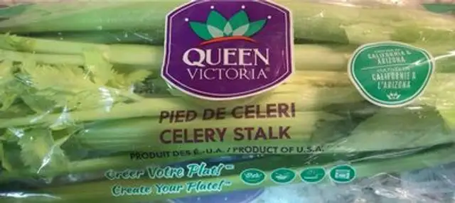 Celery stalk