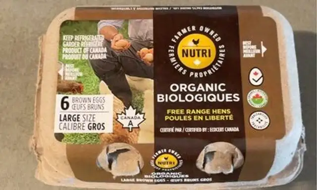 Oeufs bruns biologiques