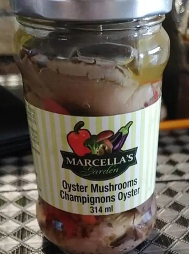 Champignons Oyster
