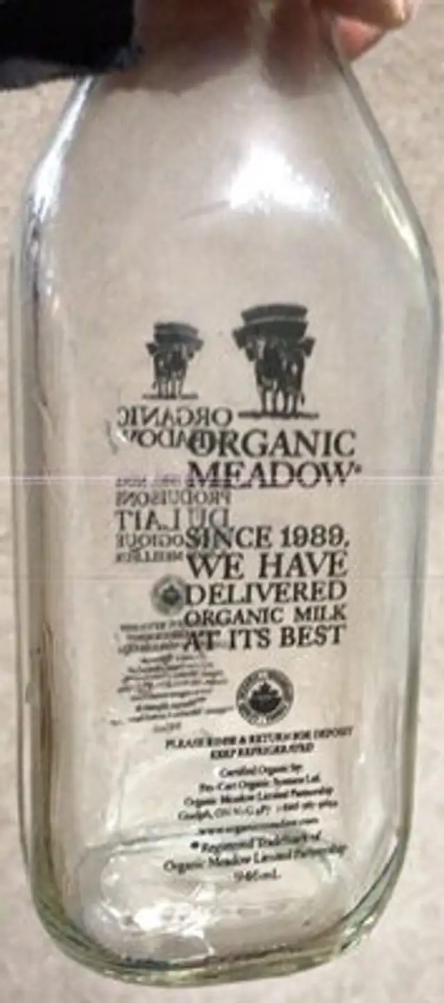 3.8% Organic White Milk