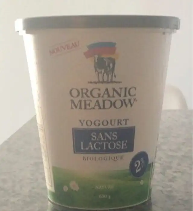 Yogourt
