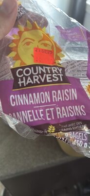 Cinnamon Raisin Bagels