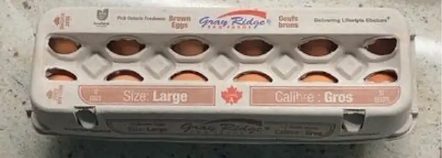 Brown eggs