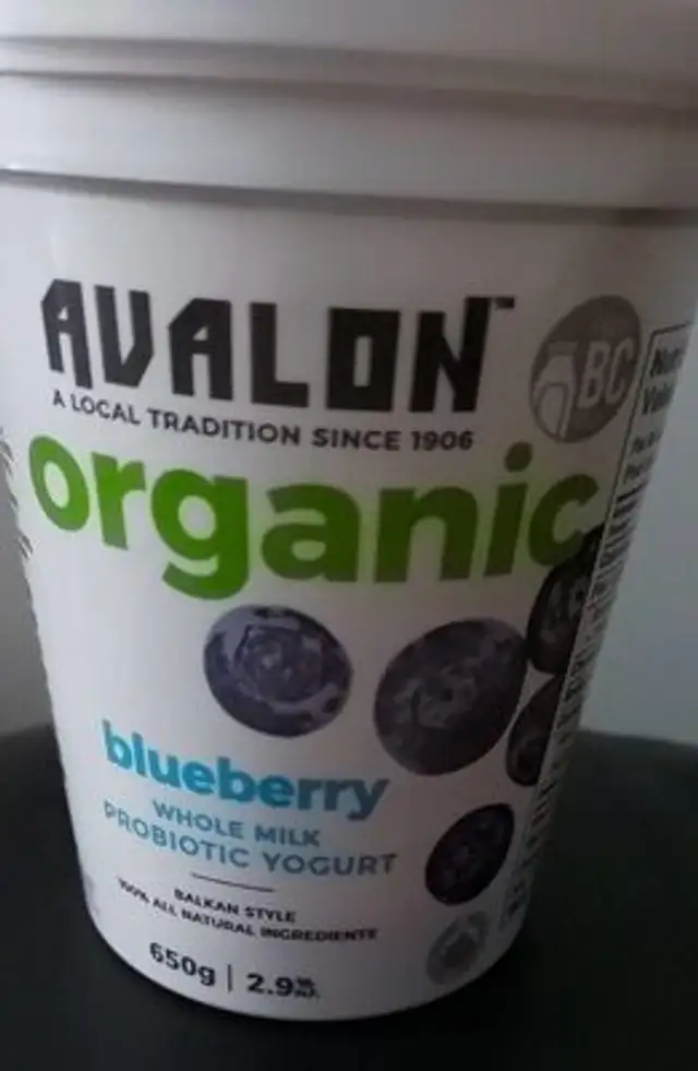 Blueberry Whole Milk Probiotic Yogurt