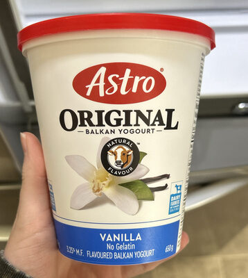 Original Balkan Yogourt Vanilla