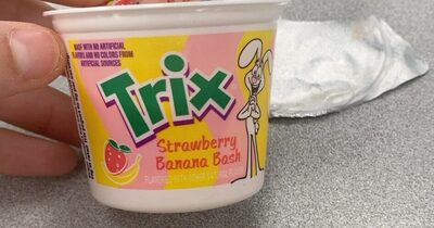 Strawberry Banana Bash Yogurt