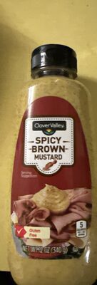 Spicy brown mustard