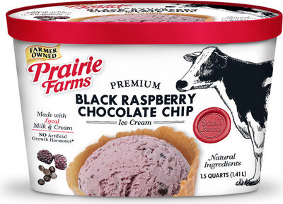 Premium black raspberry chocolate chip ice cream