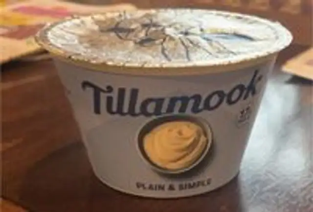 Plain & Simple greek yogurt
