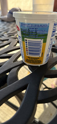 Ricotta Creamiest Cheese