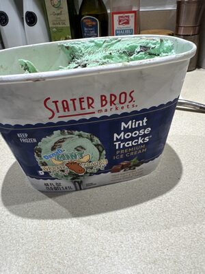 Mint Moose Tracks Ice Cream