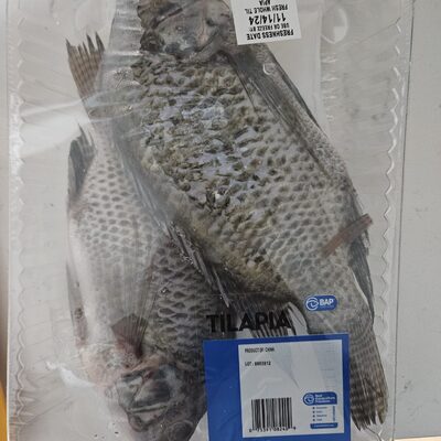 Tilapia Whole
