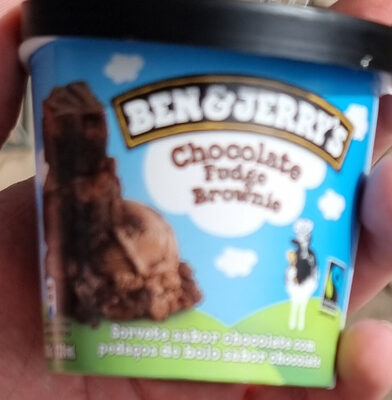 Chocolate Fudge Brownie