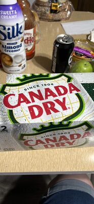 Zero sugar Canada Dry