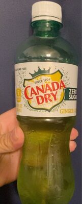 Ginger Ale Zero Sugar