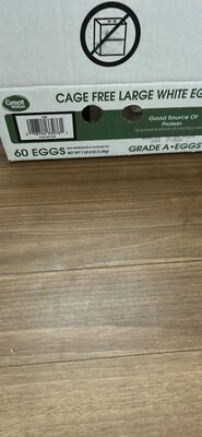 Cage Free Large White Eggs