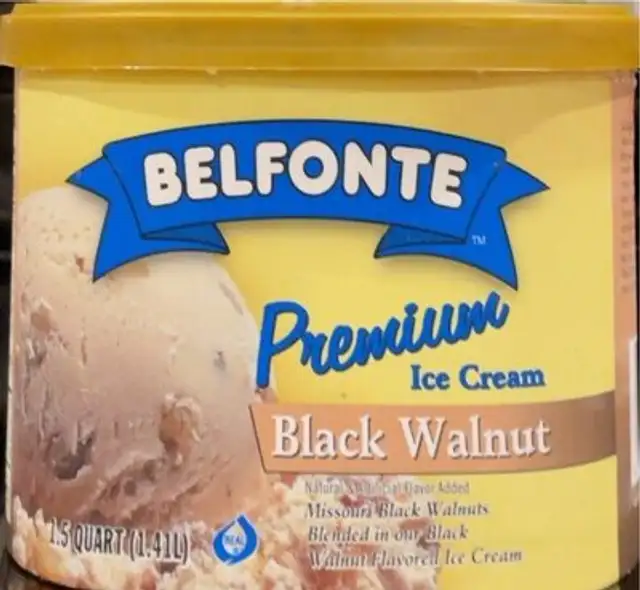 Black Walnut Premium Ice cream