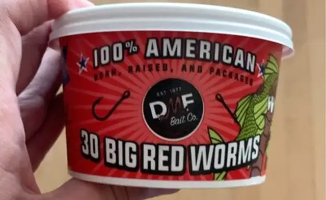 Worms