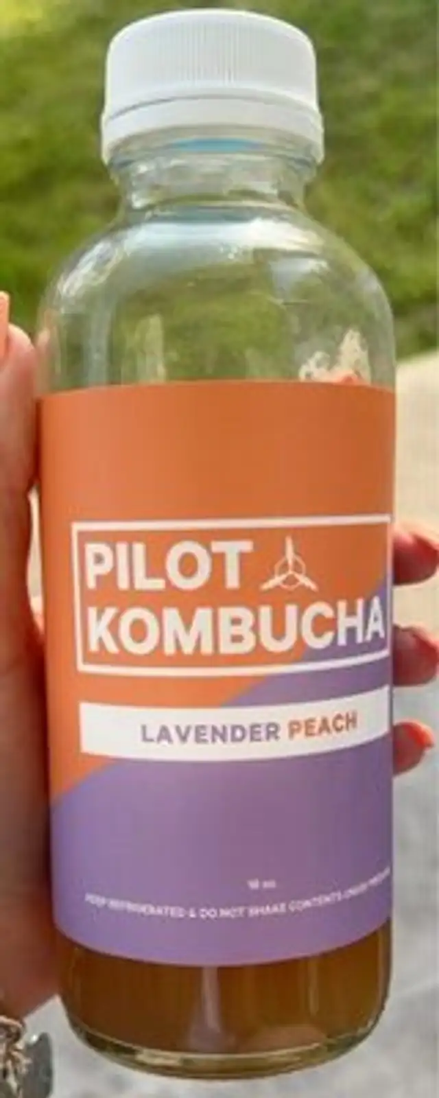 Pilot Kombucha