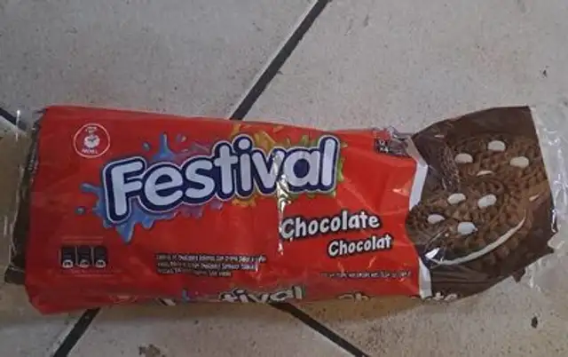 Festival