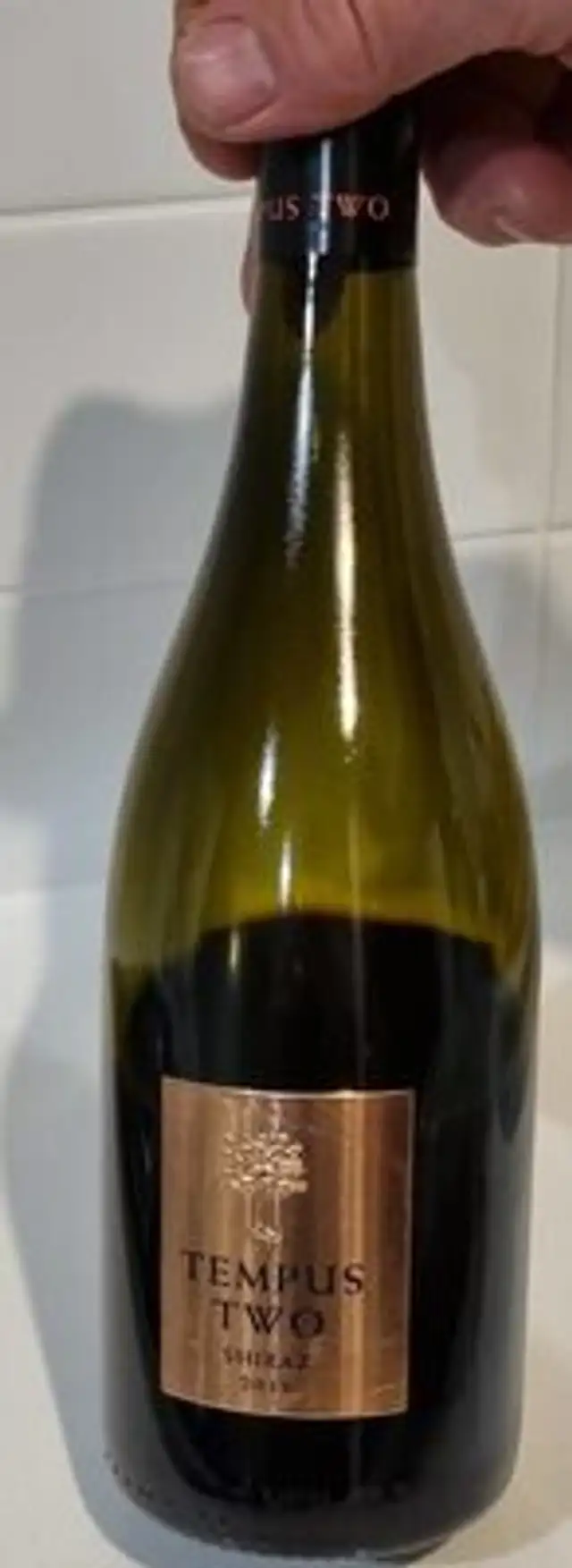 Shiraz 2016