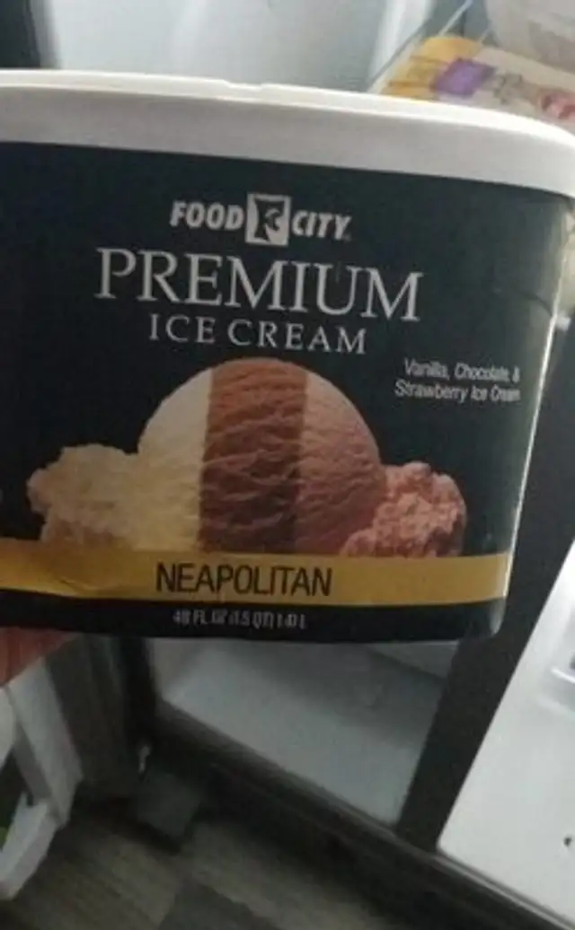 Premium Neapolitan ice cream
