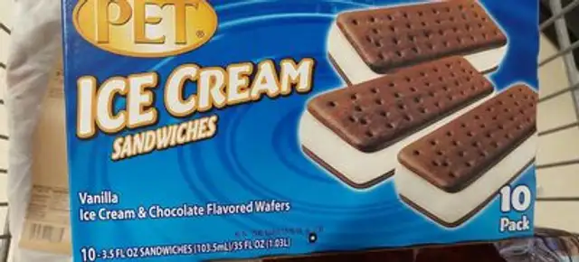 Ice cream sandwich