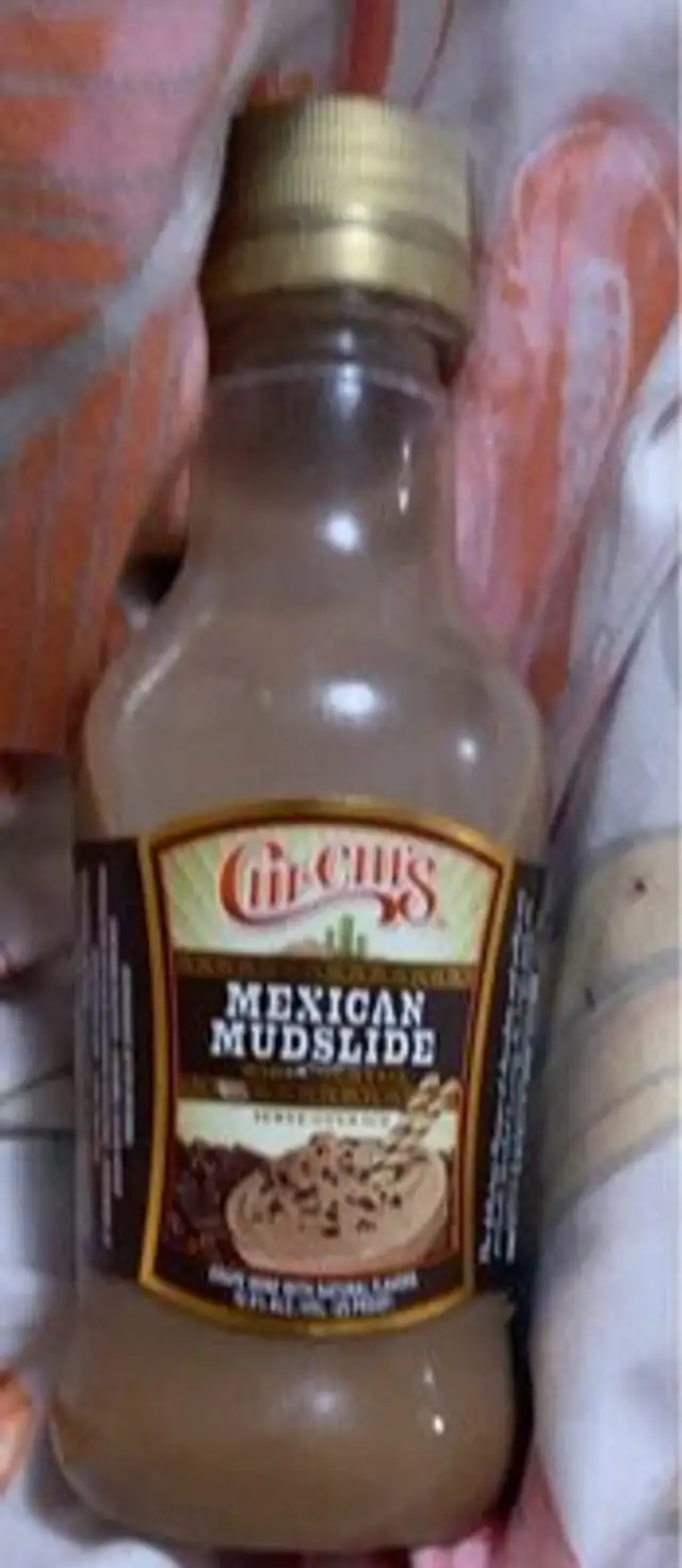 Mexican mudslide