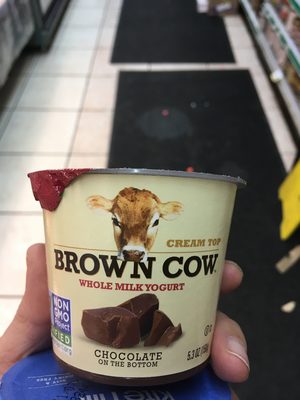 Cream Top Chocolate Yogurt