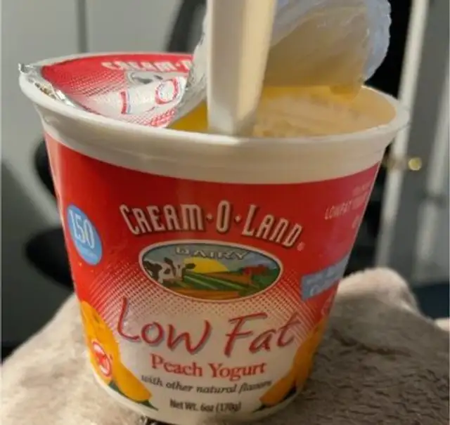 Yogurt