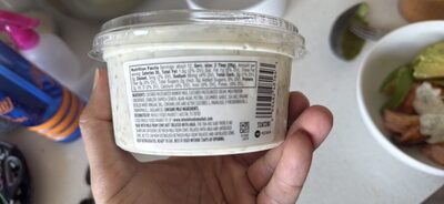 Tzatziki Cucumber Garlic Dill Dip