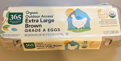 Outdoor Access Extra Large Brown Eggs
