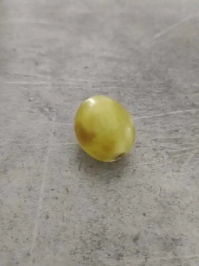 Raisin