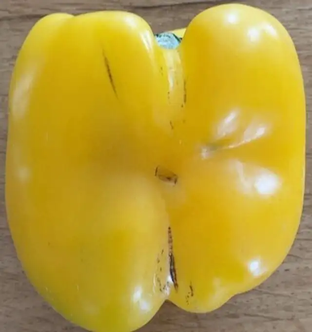 Poivron jaune