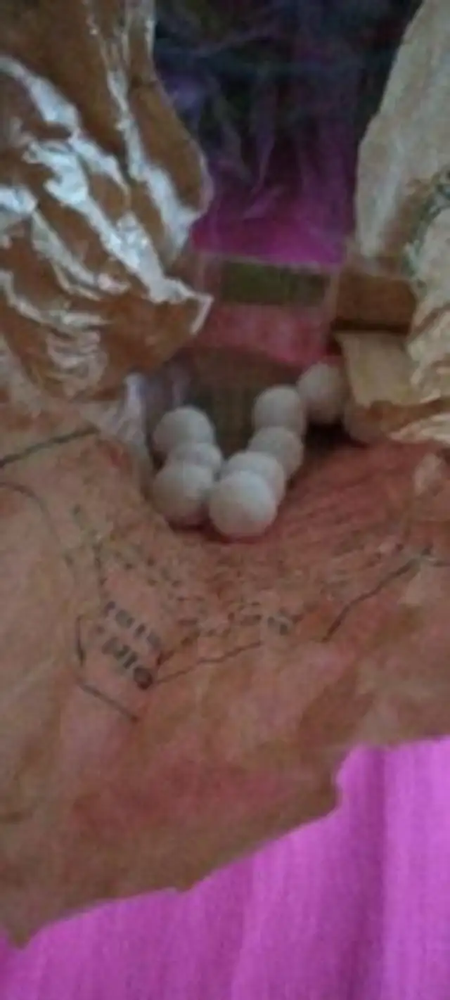 Bonbon karaneige