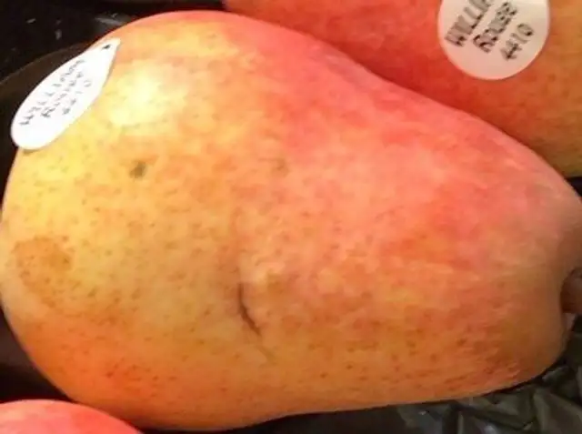 Poire william bio