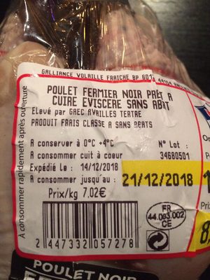 Poulet noir fermier élevé en plein air