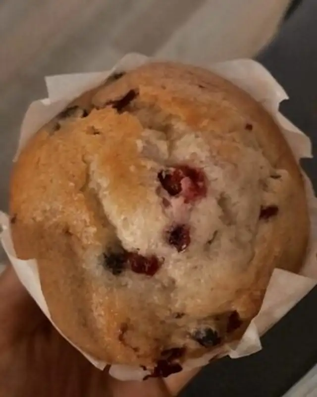 Muffin's fruits