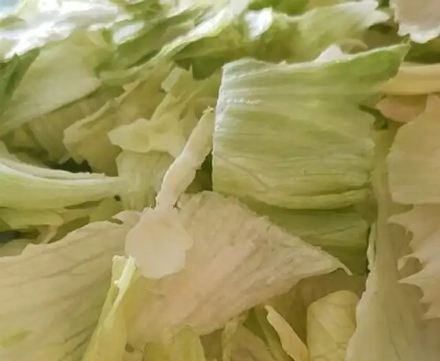 Salade