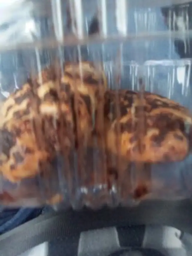 Croissant cacao